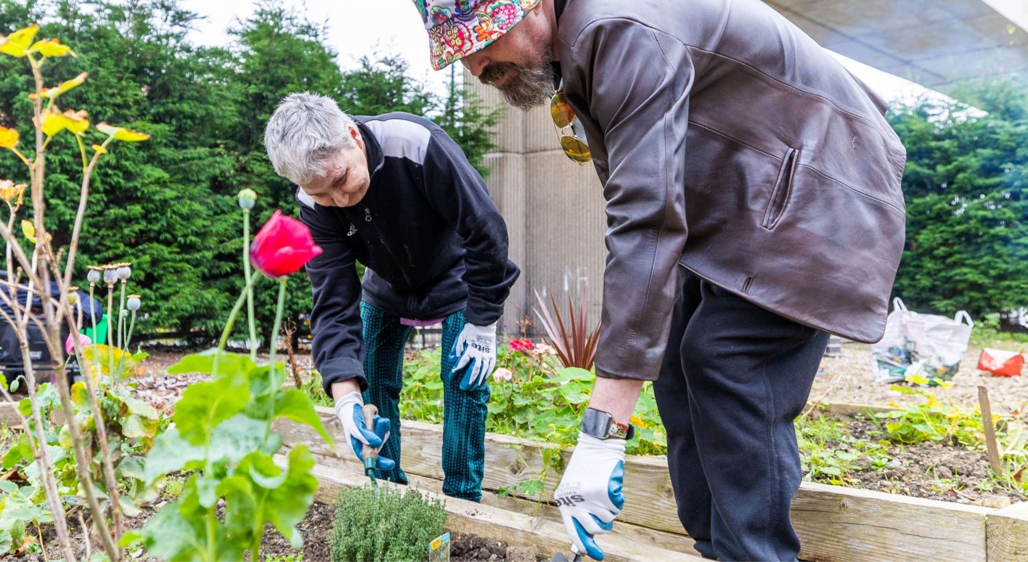 Two people tending plants together in a community garden.